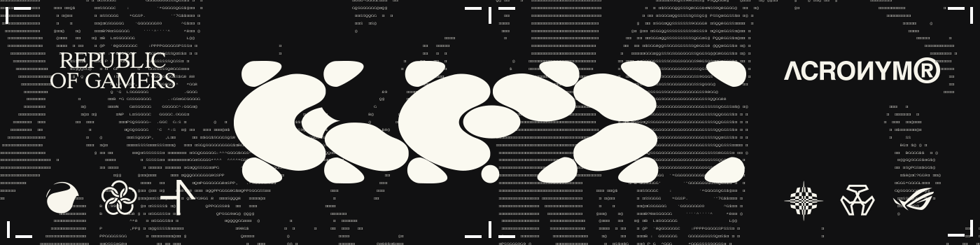 Republic of Gamers // ACRONYM